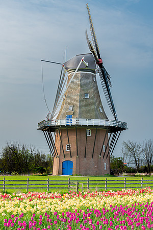 DSC_9515