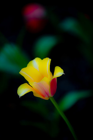 DSC_9685