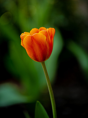 DSC_9693