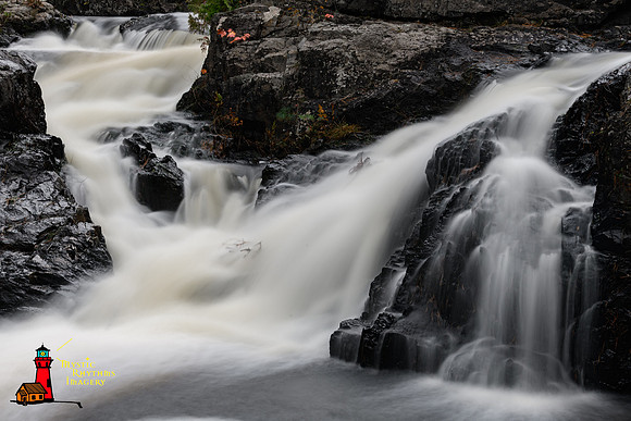 _DSC3835