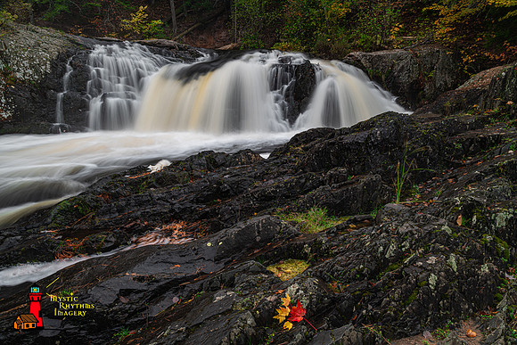 _DSC3673