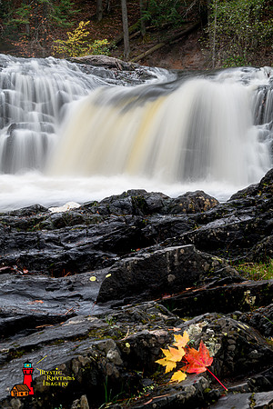 _DSC3698