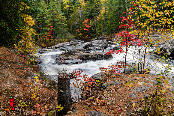 _DSC3886