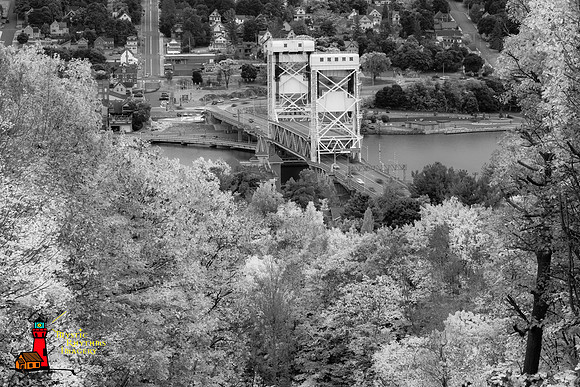 _DSC3295