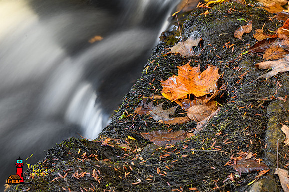 _DSC3099