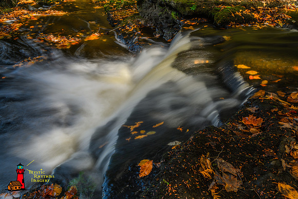 _DSC3102