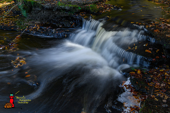 _DSC3159