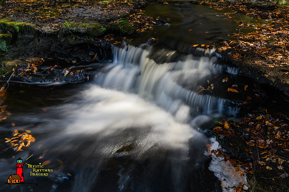 _DSC3187
