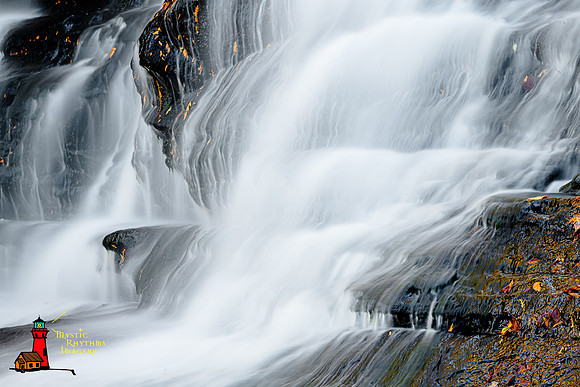 _DSC3203