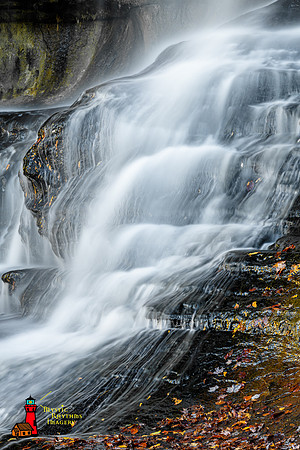 _DSC3206