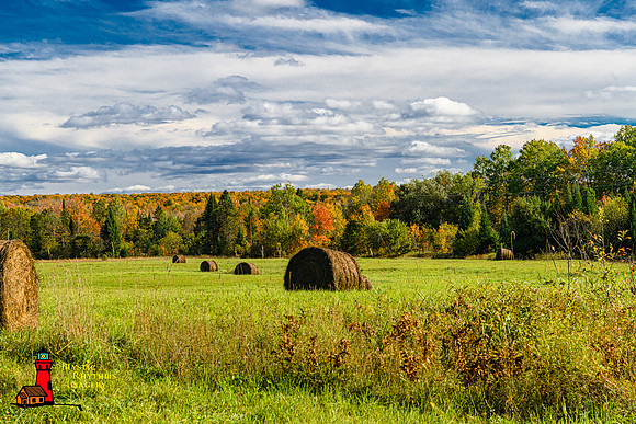 _DSC2505