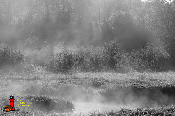 _DSC2548