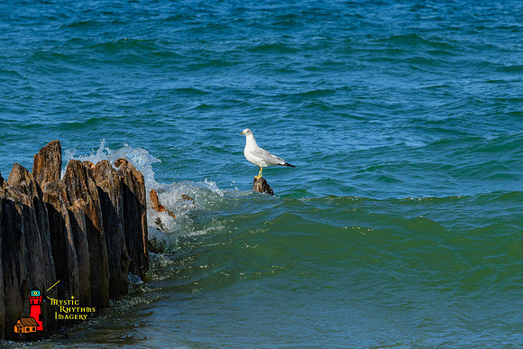 _DSC2804