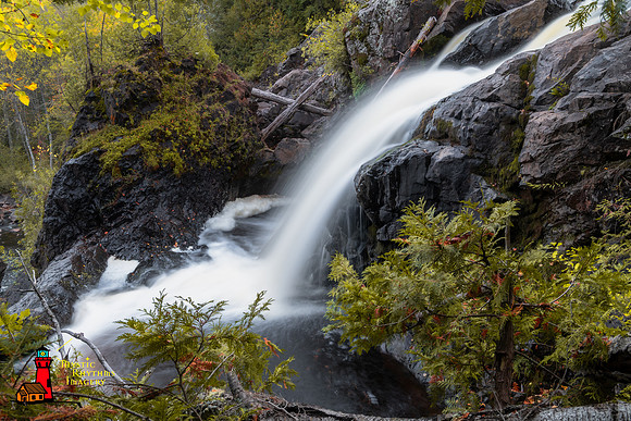 _DSC2464