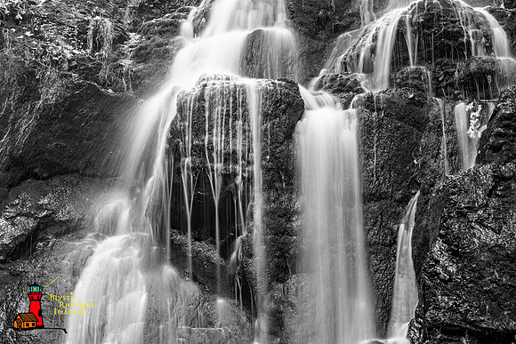 _DSC0585