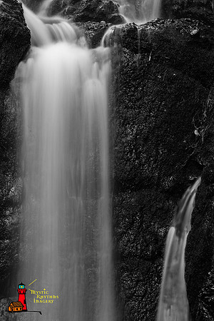 _DSC0591