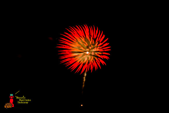 DSC_8306
