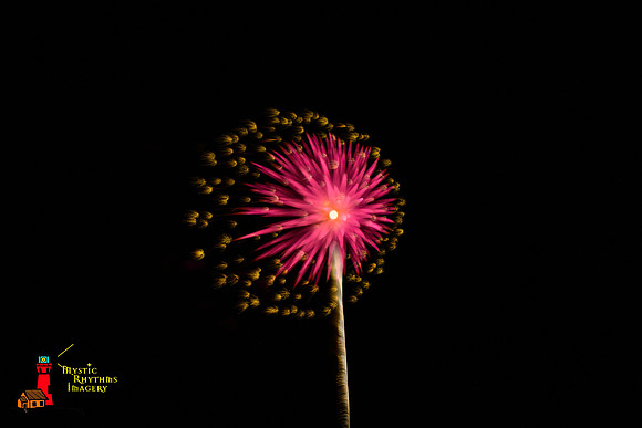 DSC_8304