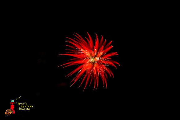 DSC_8314