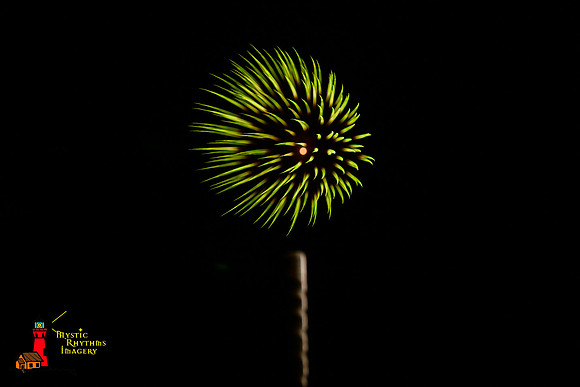DSC_8337