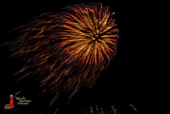 DSC_8401