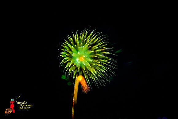 DSC_8189