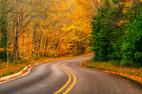 Road To Beauty