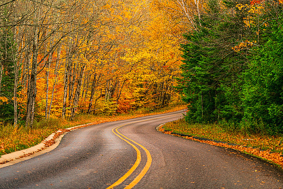 Road To Beauty