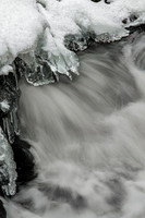 Talons of Ice