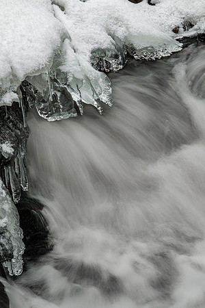 Talons of Ice