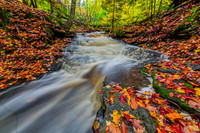 Autumn Creek
