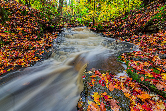 Autumn Creek