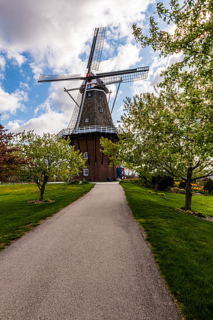Tulip Time Windmills