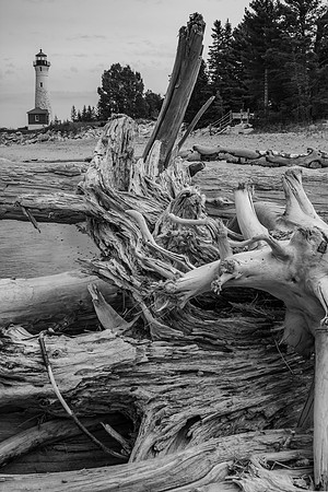 Driftwood Beach