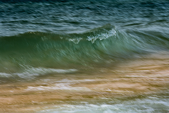 DSC_4499