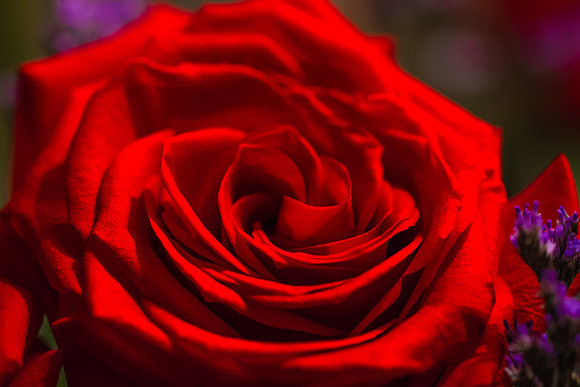 DSC_9108
