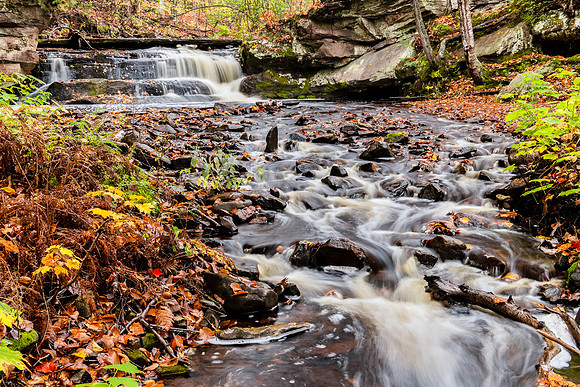 DSC_6670-Edit